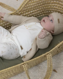 Little Dutch T-shirt Long Sleeves Little Goose Walking White -Lush Littles Post LITTLEGOOSE 1b