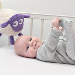 Ewan The Dream Sheep (Classic) - Baby Sleep Soother -Lush Littles Purple Classic Ewan a a8cc6ca7 c861 4d25 9384 fa5c45cdb1f0