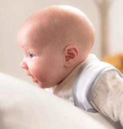 Babocush Comfort Cushion -Lush Littles babocush newborn comfort cushion 3 245 450x473 3702db13 5721 4788 9315 cccc7b3228d4